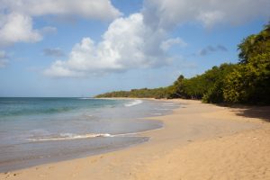 Plage des Salines, Martinique - 29 janvier