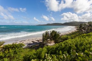 Anse de Grand Macabou, Martinique - 30 janvier