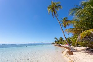 Plage de Bois Jolan, Sainte-Anne, Guadeloupe - 29 janvier